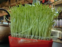 -番食园鲜食火锅(高新店)