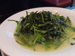-天辣(金桥啦啦宝都店)