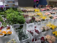 -盒马X会员店(王府井奥莱UP TOWN店)