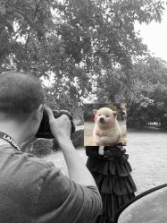 -帆拉斐婚纱摄影(春熙店)