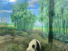 -天津市动物园