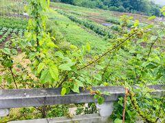 -南山风景名胜区