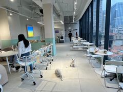 -怪兽屋·羊驼·猫咖·狗咖(俊华广场店)