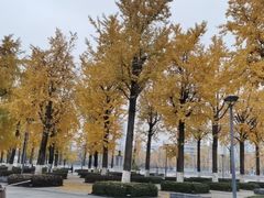 -两江幸福广场