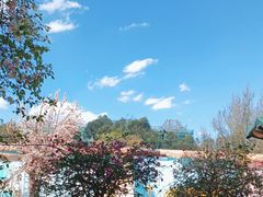 -滇池海埂公园