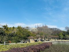 -上海方塔园