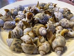 白灼花螺-三亚火车头万人海鲜广场