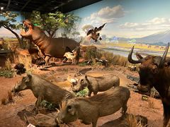 -陕西自然博物馆