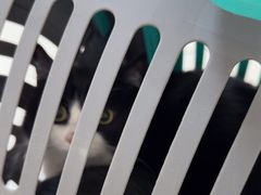-美联众合动物医院·24h京西诊疗中心