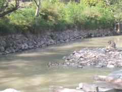 -乌岩头民俗博物馆