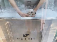 -PETKIT小佩宠物(昭化店)