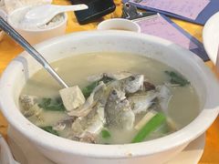 杂鱼豆腐汤-老字号蛇口德记烧腊饭店·海鲜加工