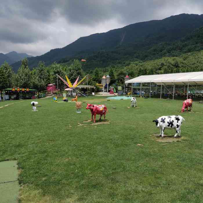 九龙滑草场-"九龙山滑草场我们已经去过几次了,这次中午.