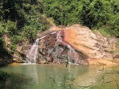 -广州白江湖森林公园