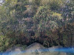 -咸阳湖景区-古渡公园