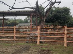 -西安秦岭野生动物园