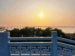 -宝安西湾红树林湿地公园