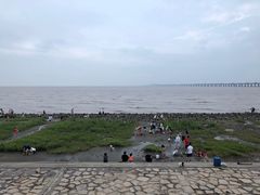 -南汇嘴观海公园