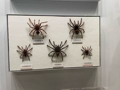 -四川大学博物馆