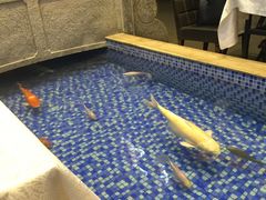 -盆满钵满·国家非遗传承(云台店)