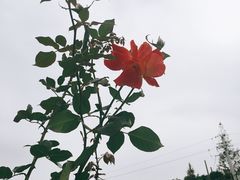 -呼吸森林·生态农庄农家乐私房菜