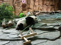-泉州海丝野生动物世界