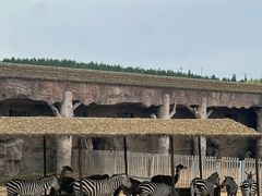 -鄂尔多斯野生动物园