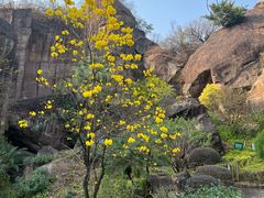 -广州莲花山旅游区