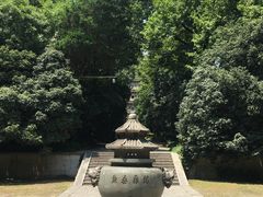 -灵谷景区