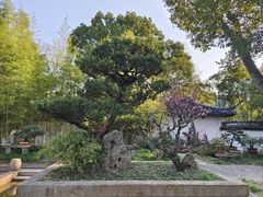 -上海醉白池公园