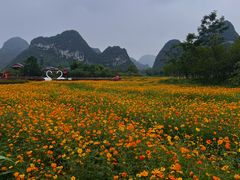 -靖西鹅泉风景区