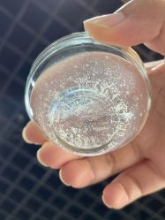 -Cream88颜皮肤管理中心