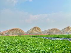 -中国天府农业博览园