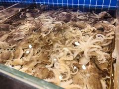 -鱼满舱·鲜活海鲜·正宗鲁菜