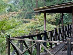 -天明山温泉大酒店