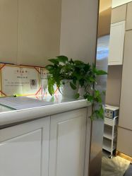 -美丽田园