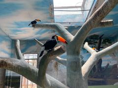 -石家庄市动物园