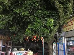 -荔枝红五号农庄