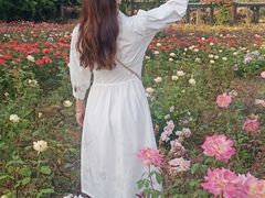 -龙寺生态园