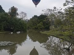 -中国科学院西双版纳热带植物园
