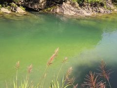 -祁门牯牛降观音堂风景区