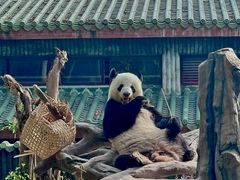 -广州动物园