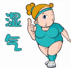 -香薇妮丝·定制减肥·身材管理