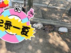 -苏州太湖西山岛开心农场