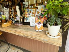 -树下咖啡(昆明老街店)