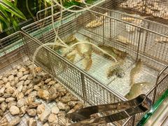 -南通绿洲国际假日酒店全日餐厅