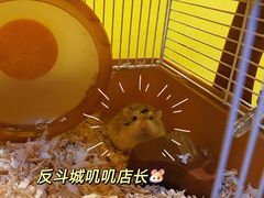 -解个谜沉浸剧情密室(天河店)