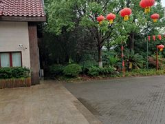 -上海海湾国家森林公园