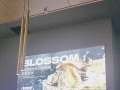-盛焰铁板烧(王府井店)