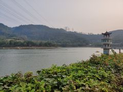 -水濂山森林公园